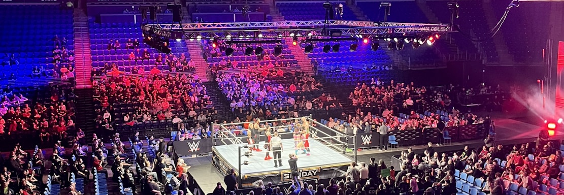 An indoor arena is filled with people watching a wrestling match. The ring is centrally located, and surrounded by audience members sitting in tiered seating. The arena is illuminated with red and blue lights, and a large overhead screen displays 'Sunday Stunner.' Spectators are engrossed in the match taking place in the well-lit ring.