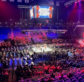 An indoor arena is filled with people watching a wrestling match. The ring is centrally located, and surrounded by audience members sitting in tiered seating. The arena is illuminated with red and blue lights, and a large overhead screen displays 'Sunday Stunner.' Spectators are engrossed in the match taking place in the well-lit ring.
